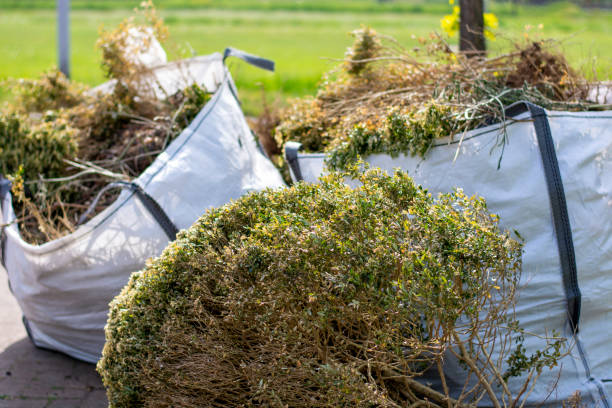 Best Trash Removal Near Me  in Newington, VA